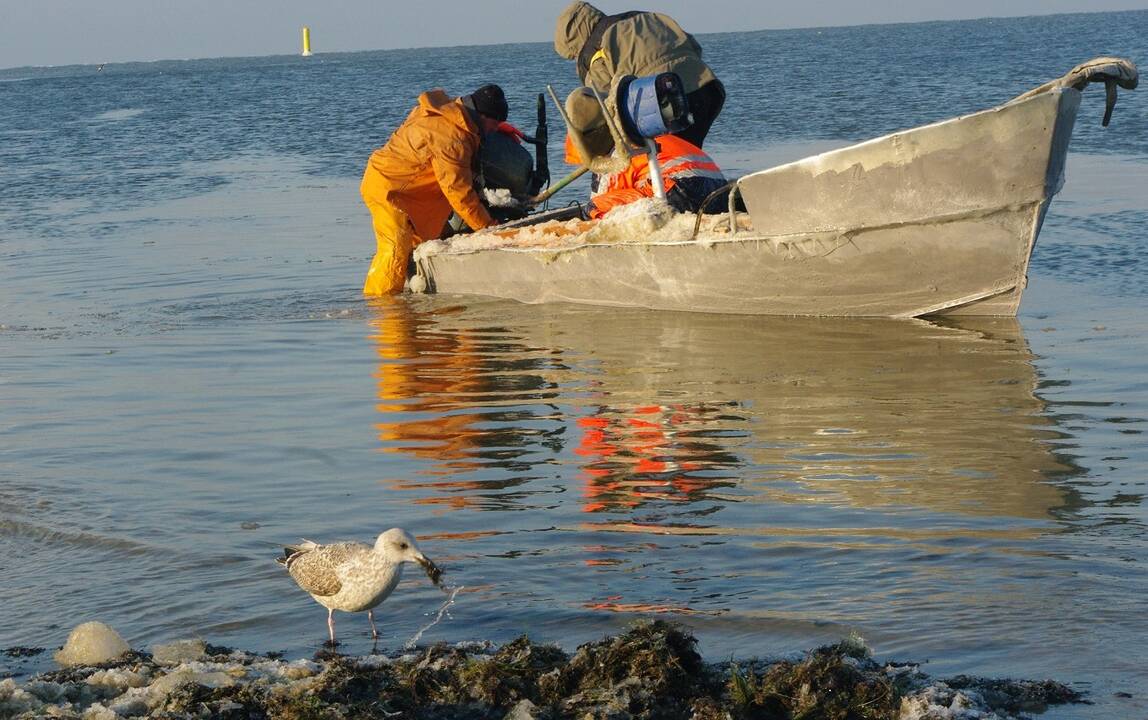 Vieta: arčiausiai uosto vartų žuvis gaudė Melnragės žvejai.