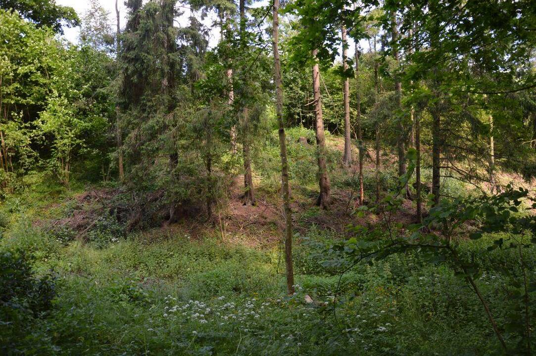 Atrastas Medsėdžių piliakalnis buvo Platelių ežero regiono centras?
