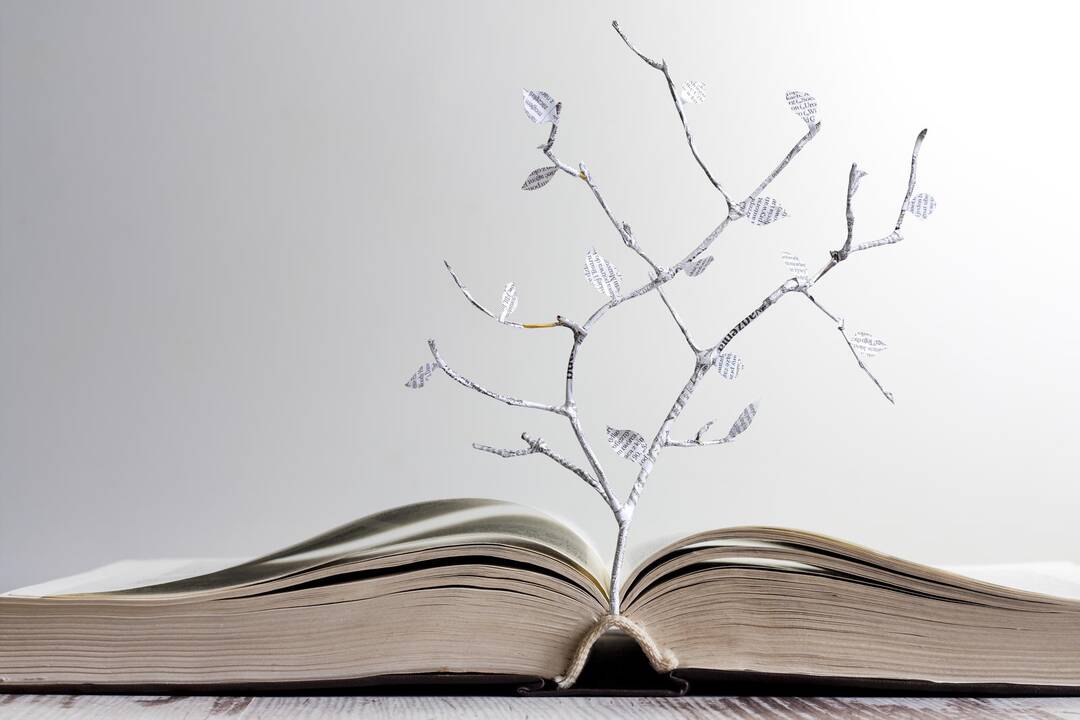 Poezijos rašymo prasmės dėžutės ir giraitės (knygų apžvalga)