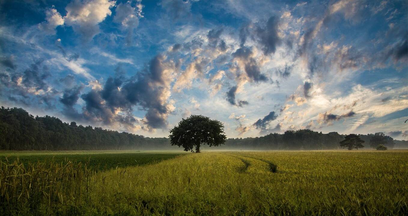 Lietuvių tyrimas apie debesis – svarbus žingsnis prognozuojant klimato kaitą