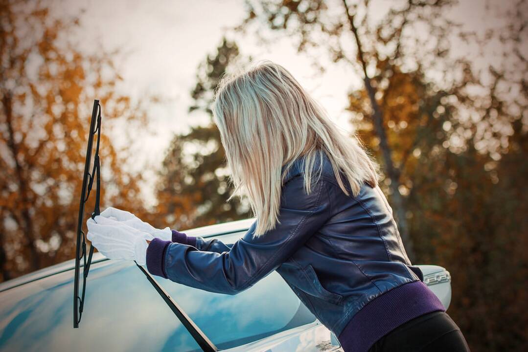 Ar žinote, kad priekinio automobilio stiklo valytuvą išrado moteris?