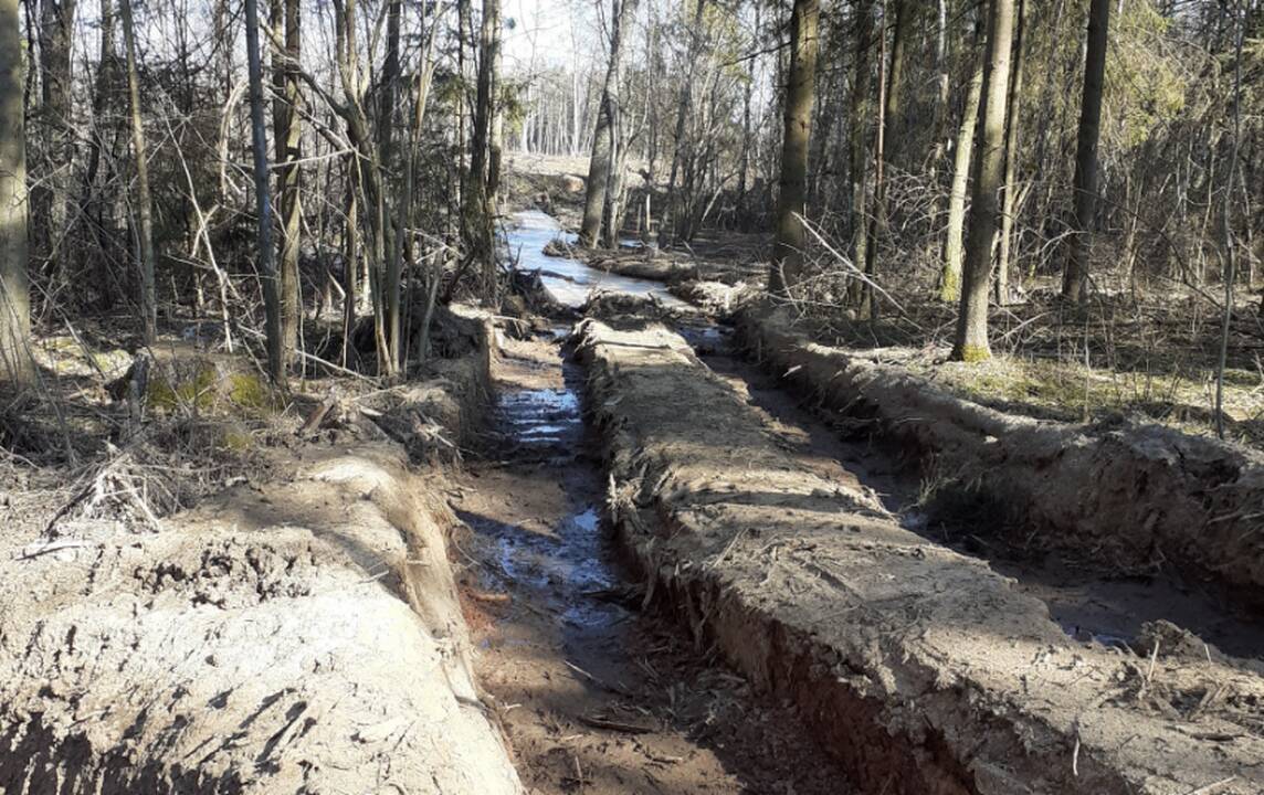 Telšių rajone sunaikinta 4,32 ha miško paklotės, žala – beveik 130 tūkst. eurų