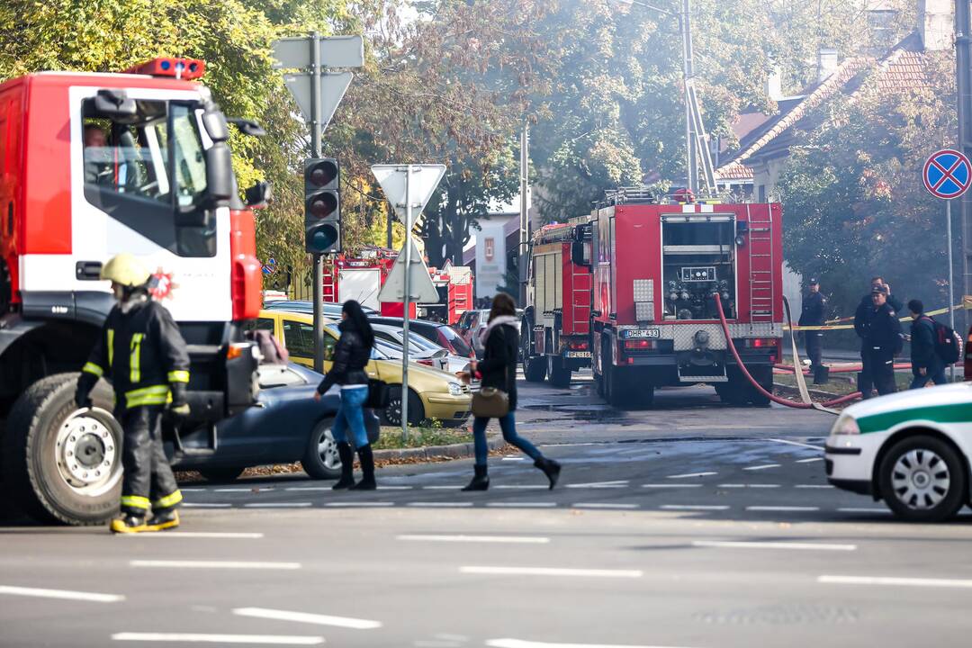 Žaliakalnyje supleškėjo mediniai sandėliai