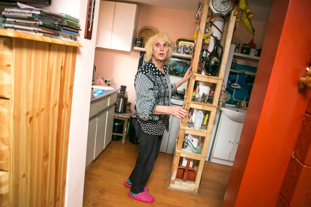 Socialinis būstas Žaliakalnyje