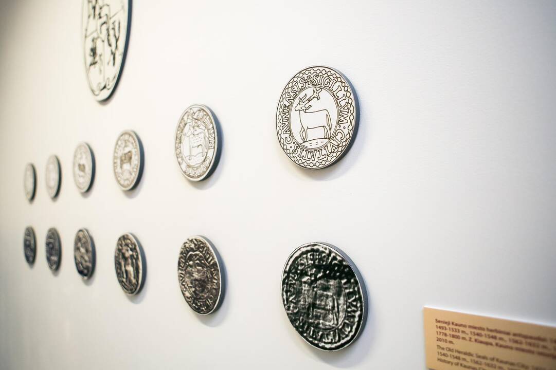 Paroda "Kaunas prieš srovę ir pasroviui"