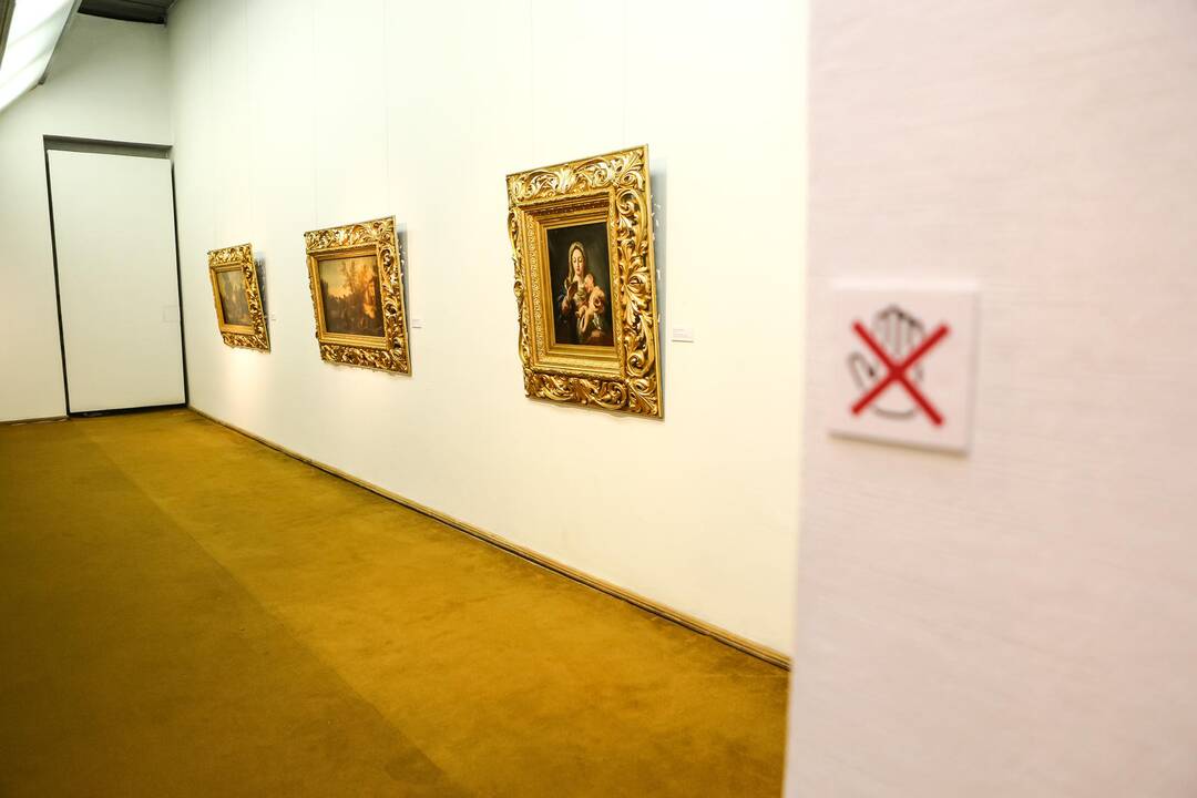 R. Mikutavičiaus kolekcijos parodos atidarymas