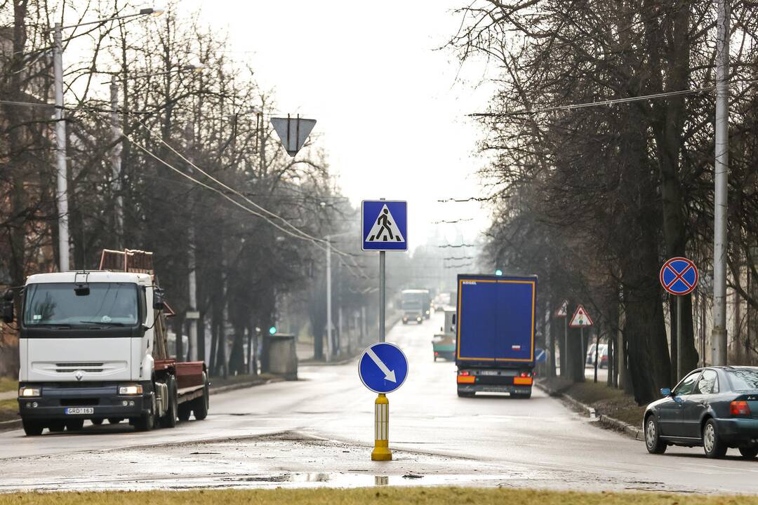 Pasivaikščiojimas po R. Kalantos gatvę