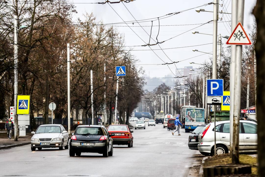 Pasivaikščiojimas po R. Kalantos gatvę