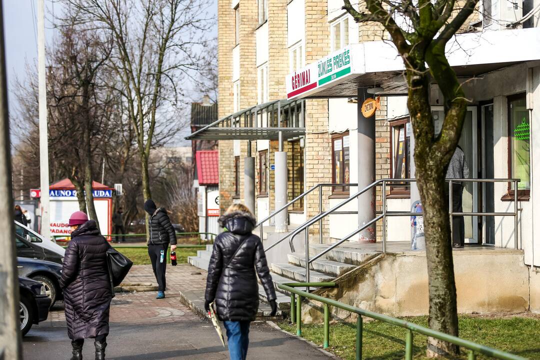Pasivaikščiojimas po R. Kalantos gatvę
