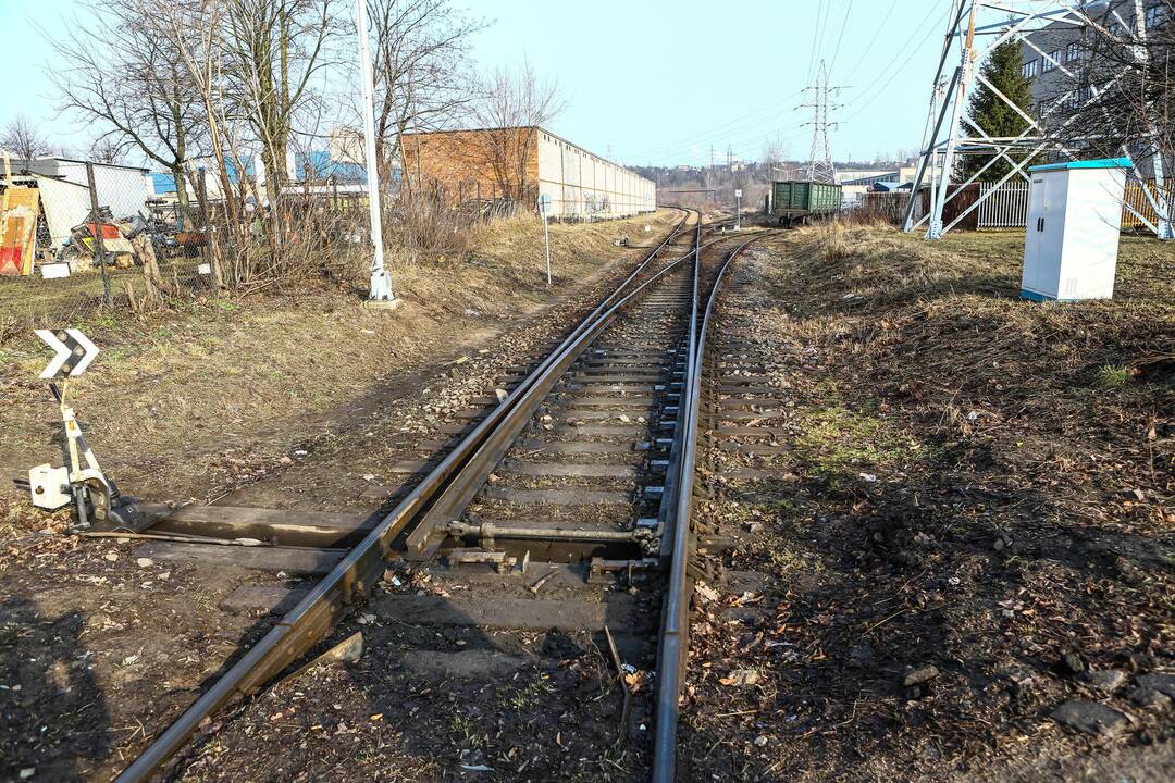 Pasivaikščiojimas po R. Kalantos gatvę