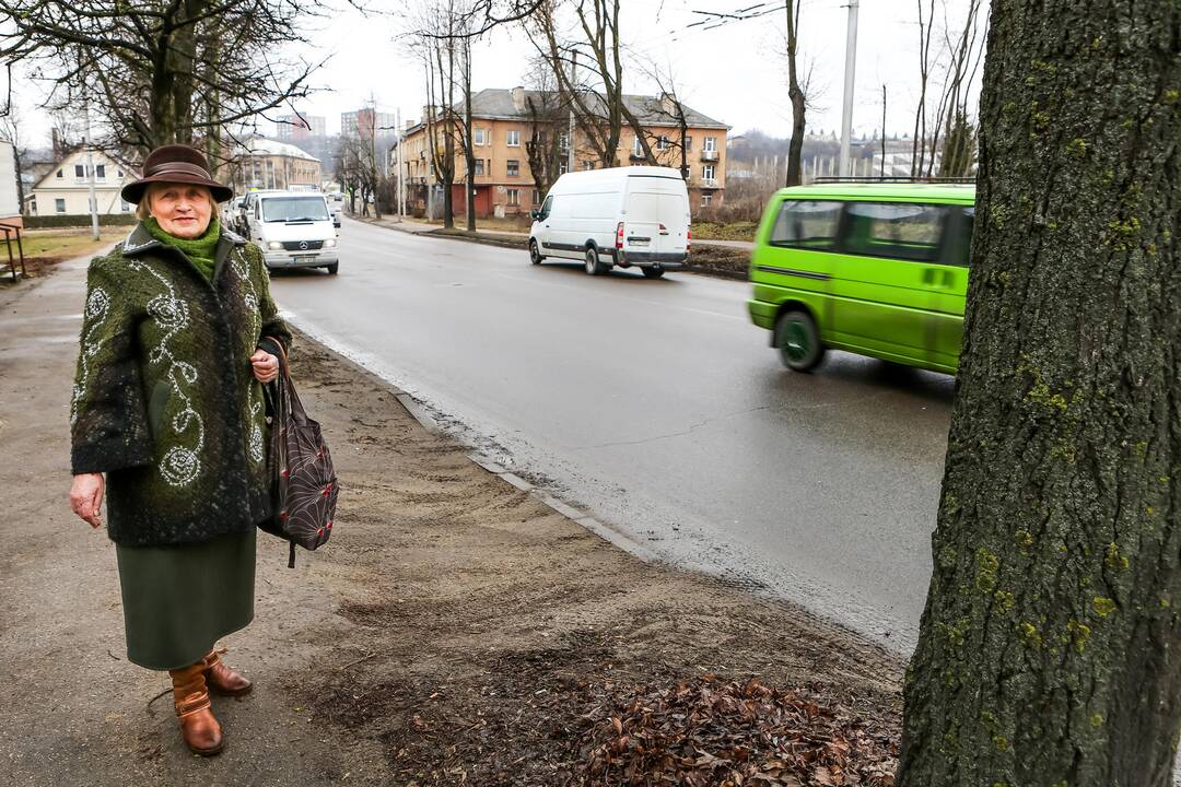 Pasivaikščiojimas po R. Kalantos gatvę