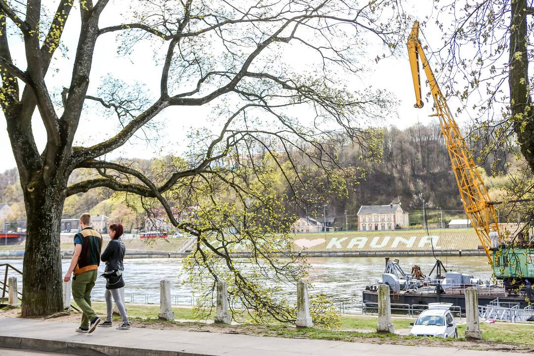 Kaunas turistus vilioja upėmis