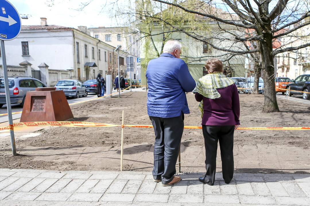 Muitinės gatvėje sodinama žolė