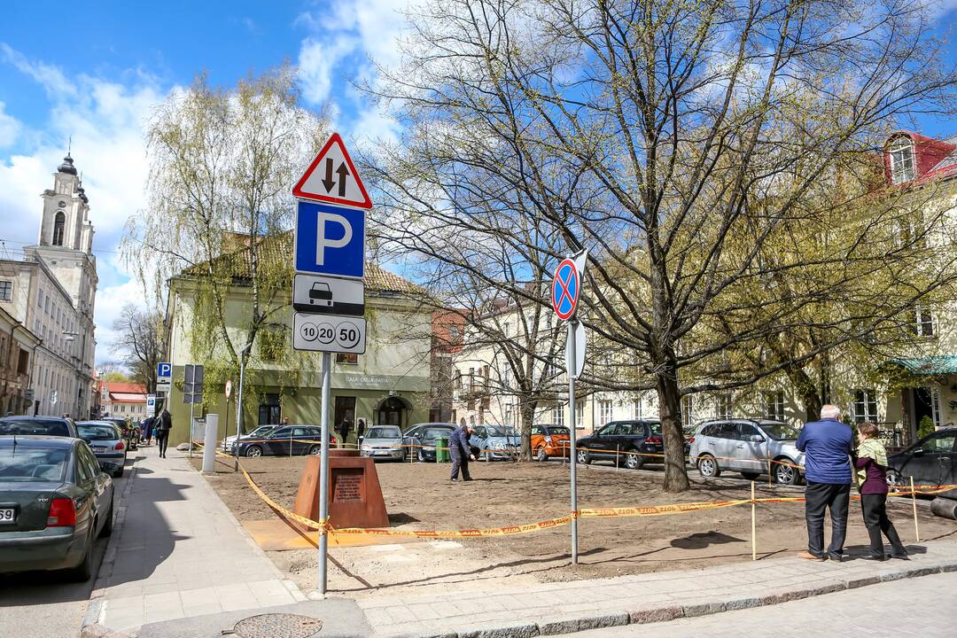 Muitinės gatvėje sodinama žolė