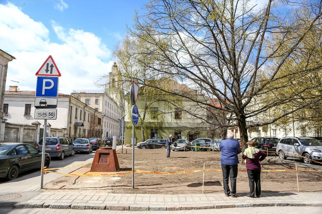 Muitinės gatvėje sodinama žolė