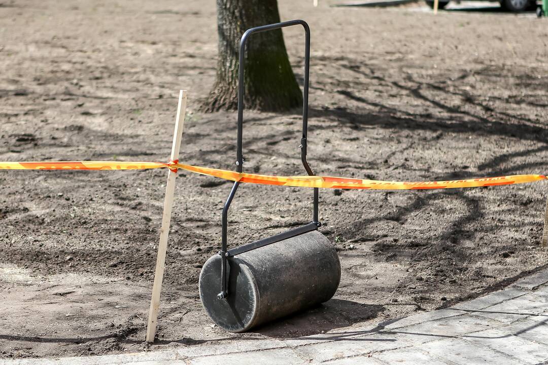 Muitinės gatvėje sodinama žolė