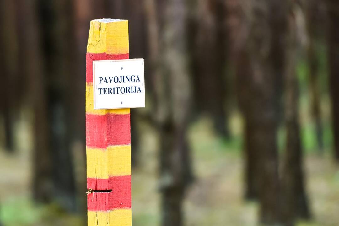 NATO pratybos Gaižiūnų poligone