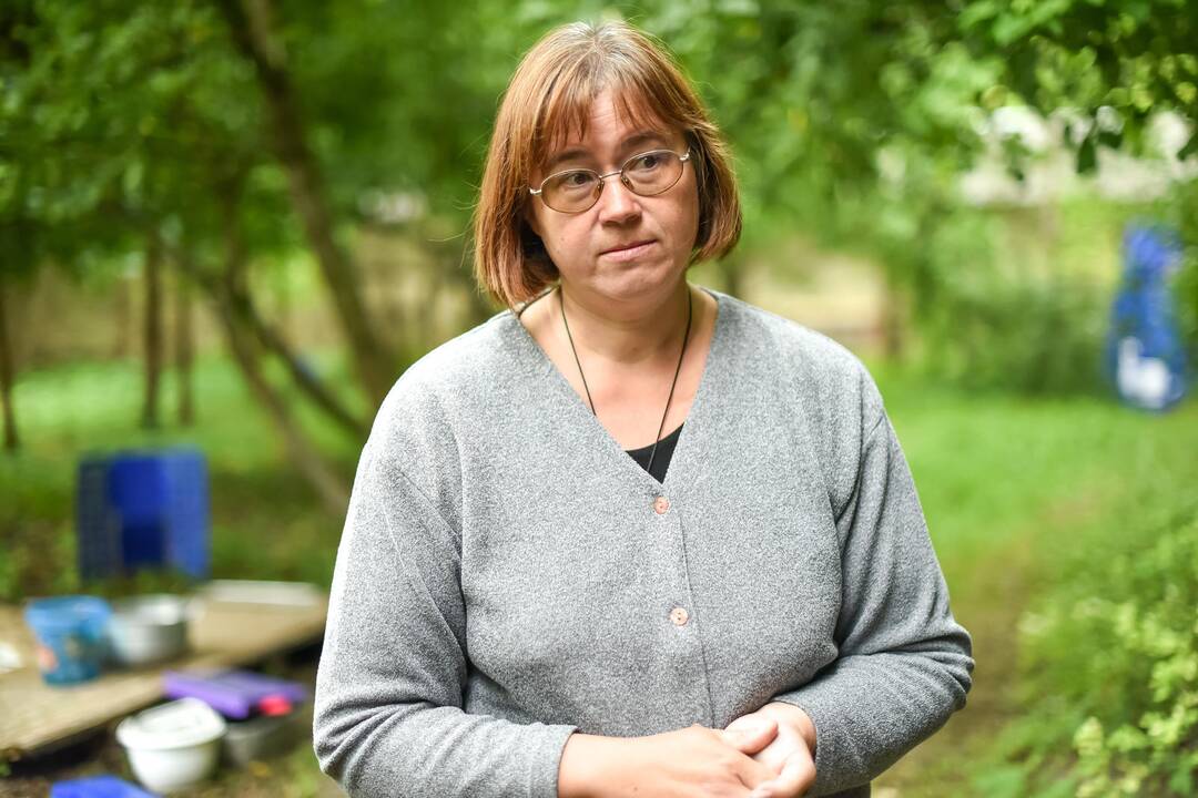 Ąžuolyne atidarytas lauko darželis