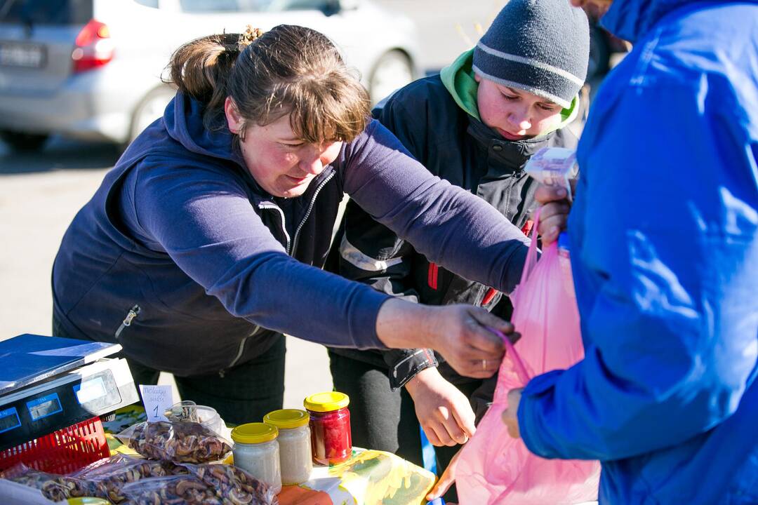 Ūkininkų turgus prie Kauno pilies