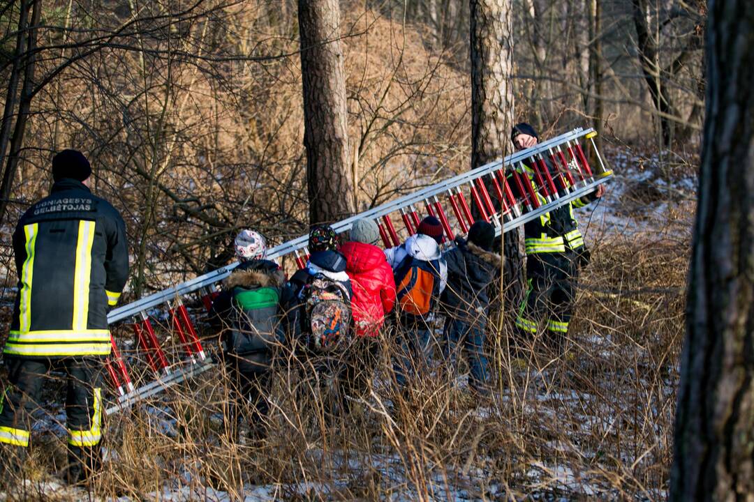 Inkilų kėlimo akcija „Pelėdžiukas 2014”