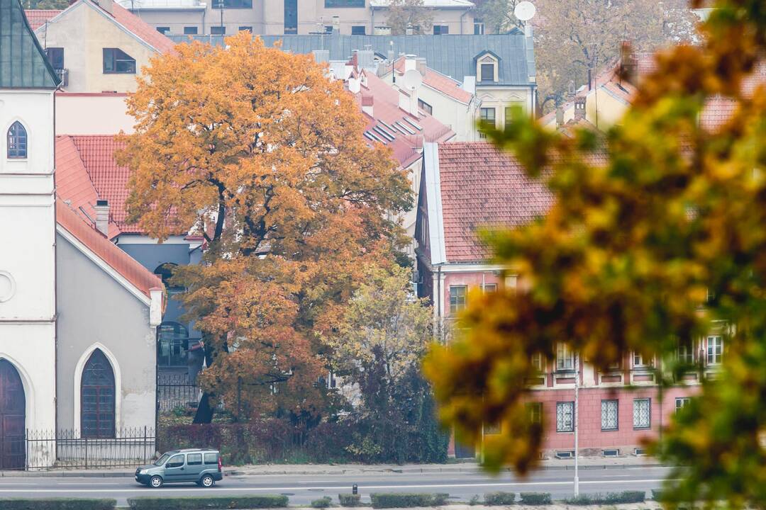 Auksinis ruduo Kaune