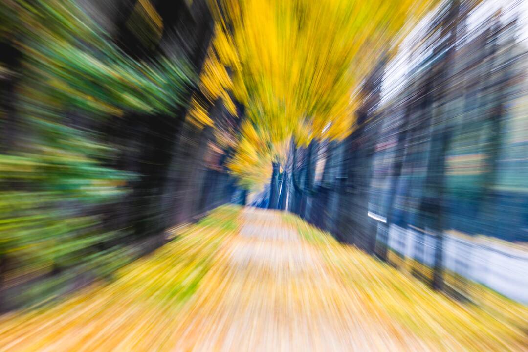 Auksinis ruduo Kaune
