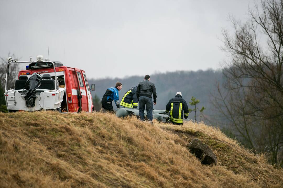 Gulbės gelbėjimo operacija Kaune