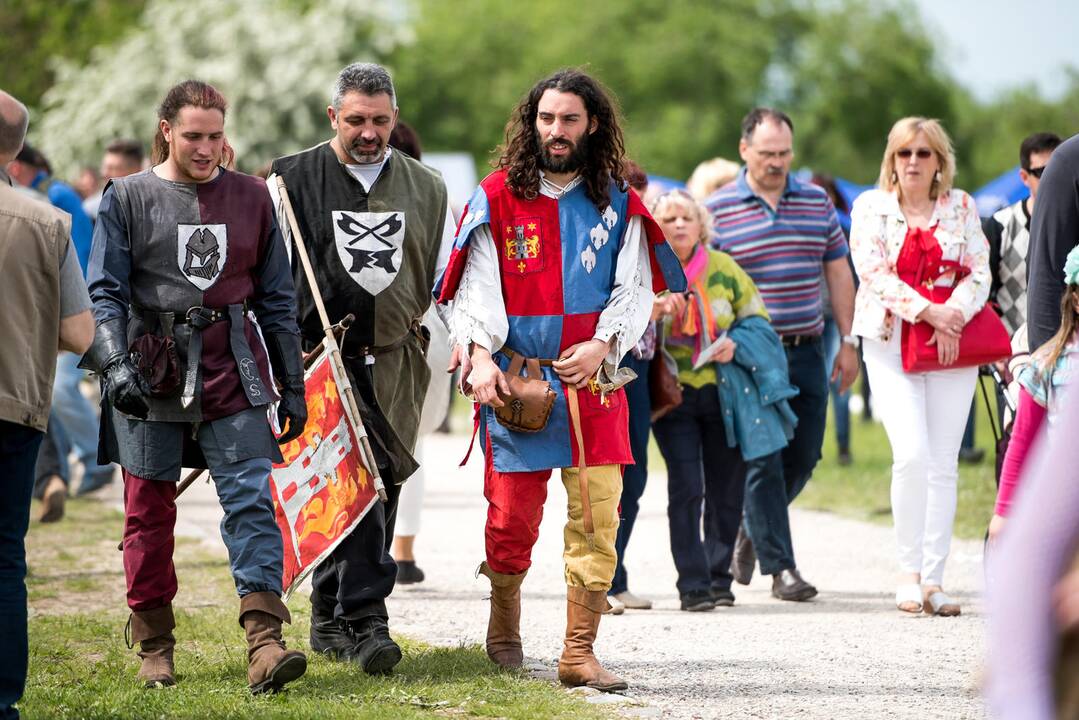 Kauno Hanza dienos 2015