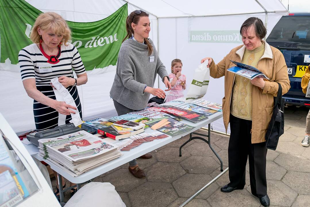 Kauno Hanza dienos 2015