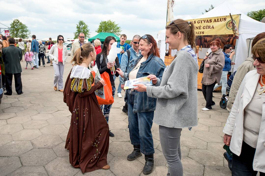 Kauno Hanza dienos 2015