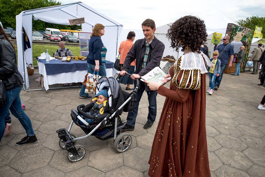 Kauno Hanza dienos 2015