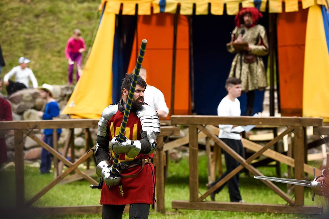 Kauno Hanza dienos 2015