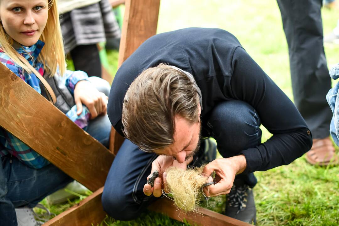 Kauno Hanza dienos 2015