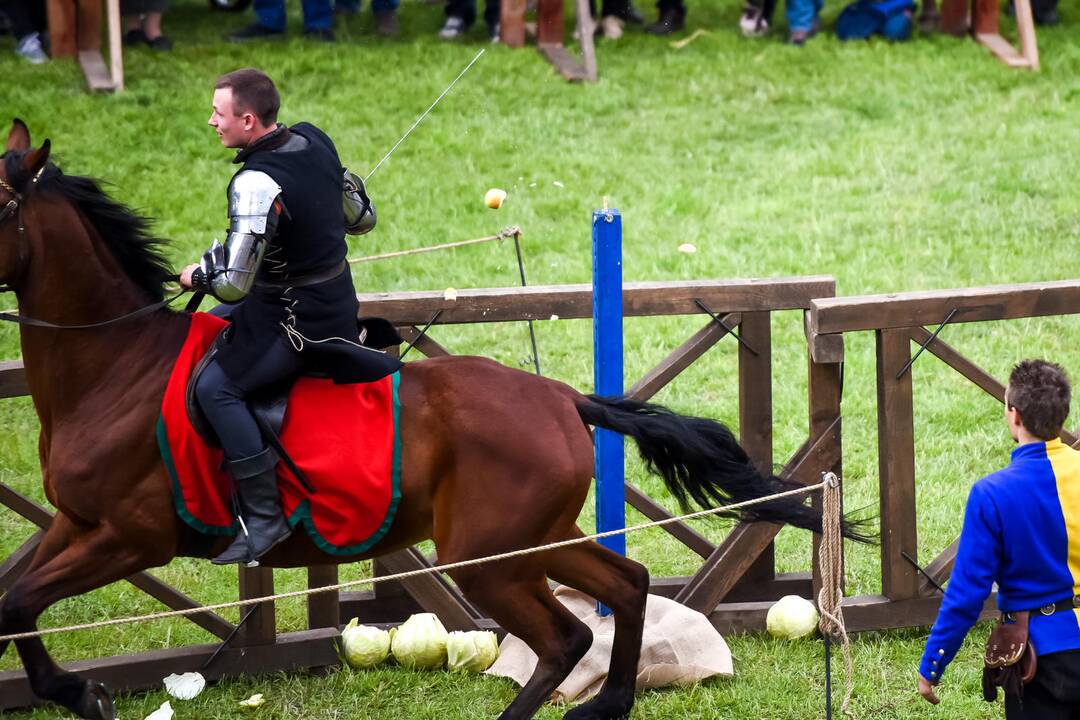 Kauno Hanza dienos 2015