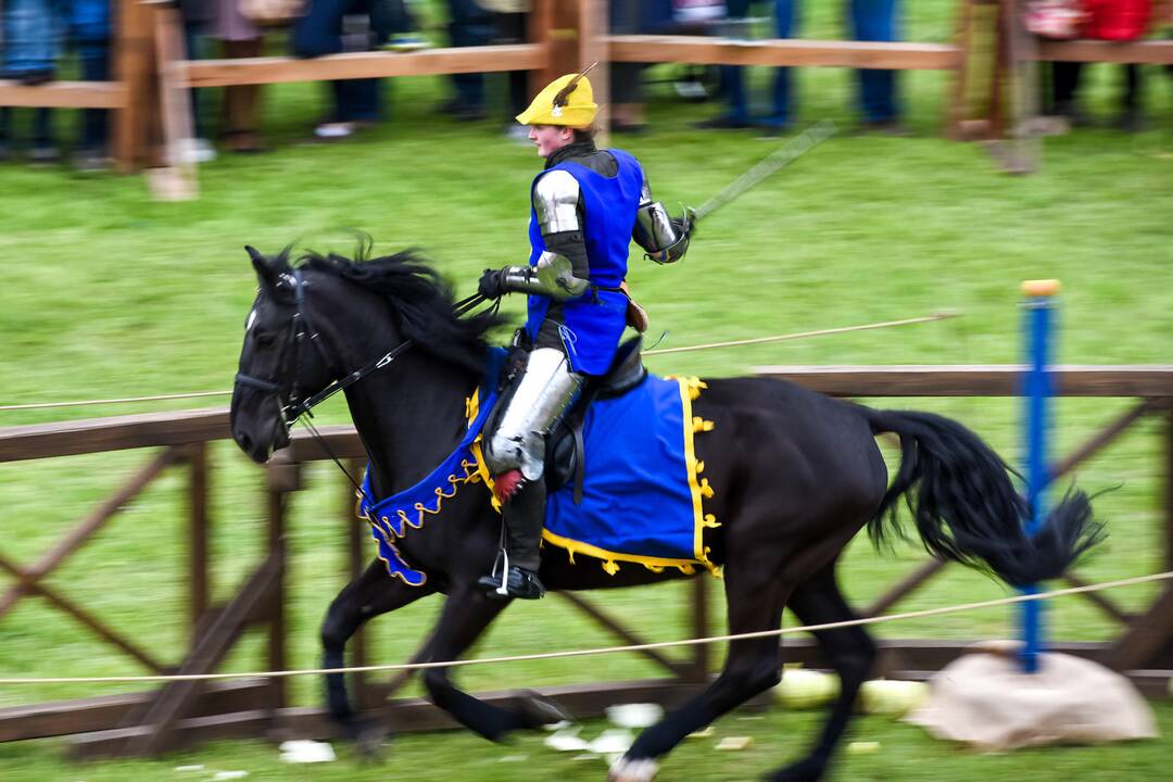 Kauno Hanza dienos 2015