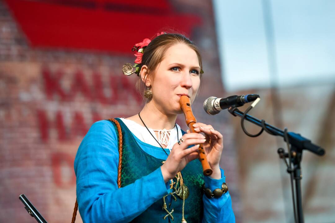 Kauno Hanza dienos 2015