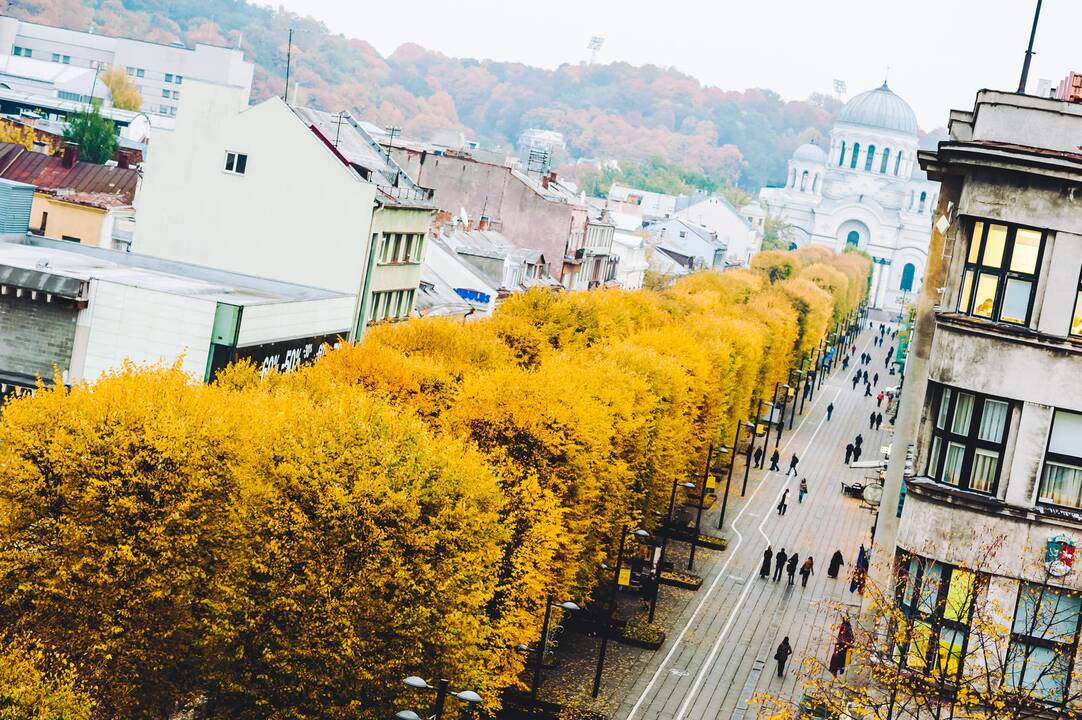 Auksinis ruduo Kaune