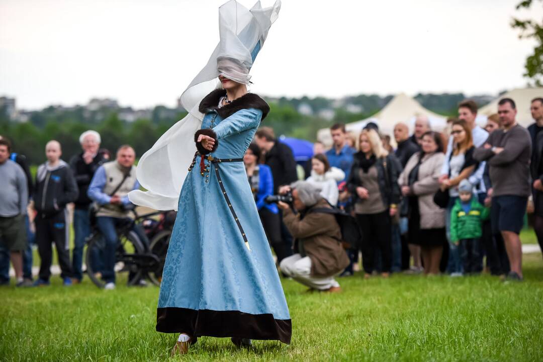Kauno Hanza dienos 2015