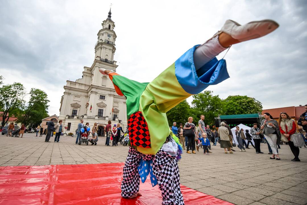Kauno Hanza dienos 2015