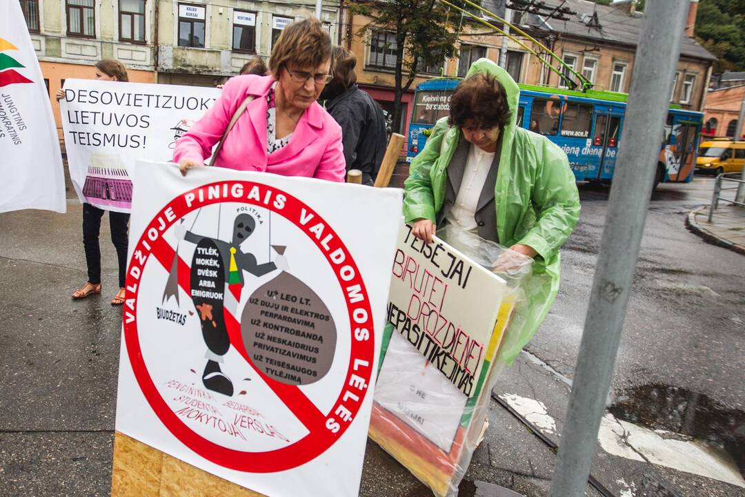 Piketas prie Kauno apylinkės teismo