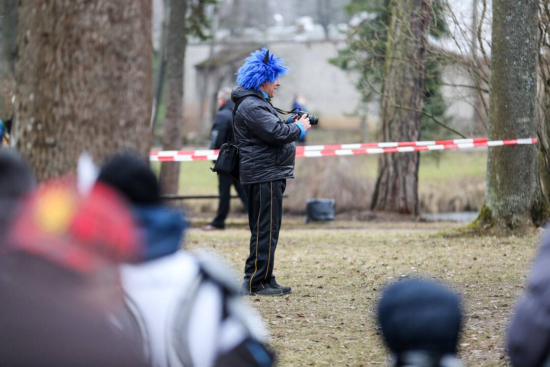 Užgavėnių šventė VDU Kauno botanikos sode