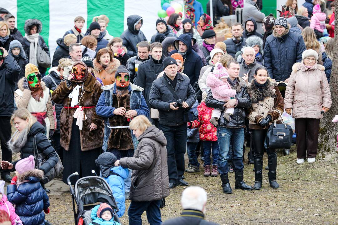 Užgavėnių šventė VDU Kauno botanikos sode