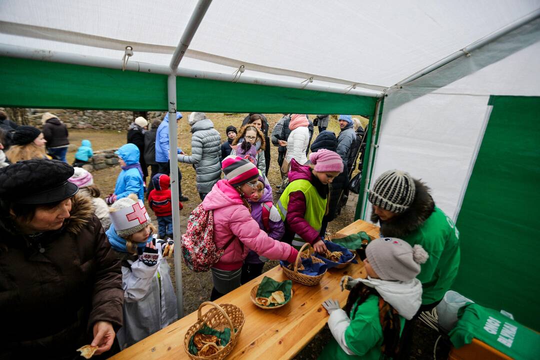 Užgavėnių šventė VDU Kauno botanikos sode