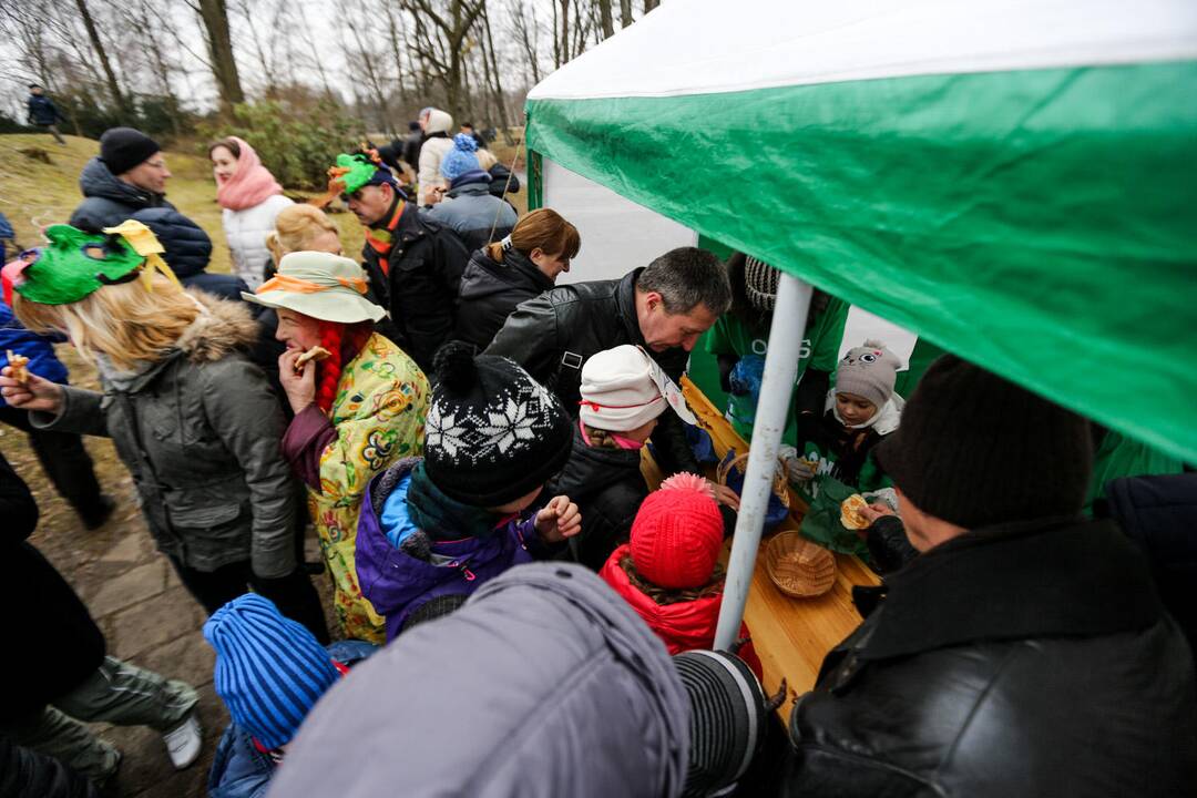 Užgavėnių šventė VDU Kauno botanikos sode