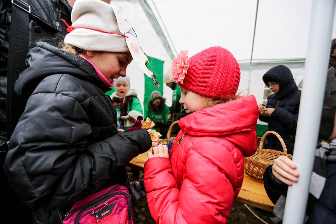 Užgavėnių šventė VDU Kauno botanikos sode