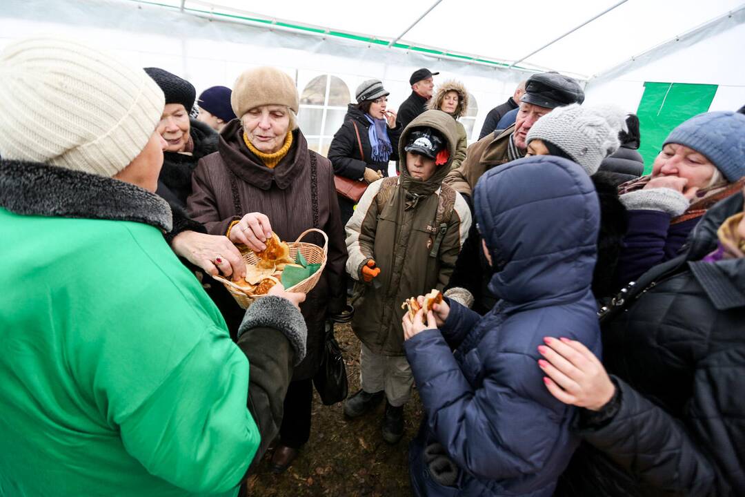 Užgavėnių šventė VDU Kauno botanikos sode
