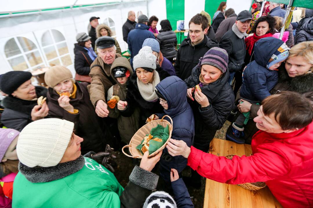 Užgavėnių šventė VDU Kauno botanikos sode
