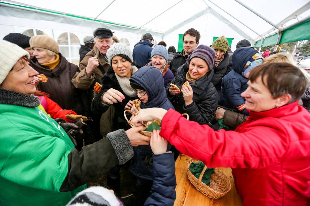 Užgavėnių šventė VDU Kauno botanikos sode