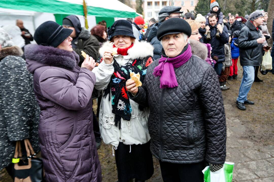 Užgavėnių šventė VDU Kauno botanikos sode