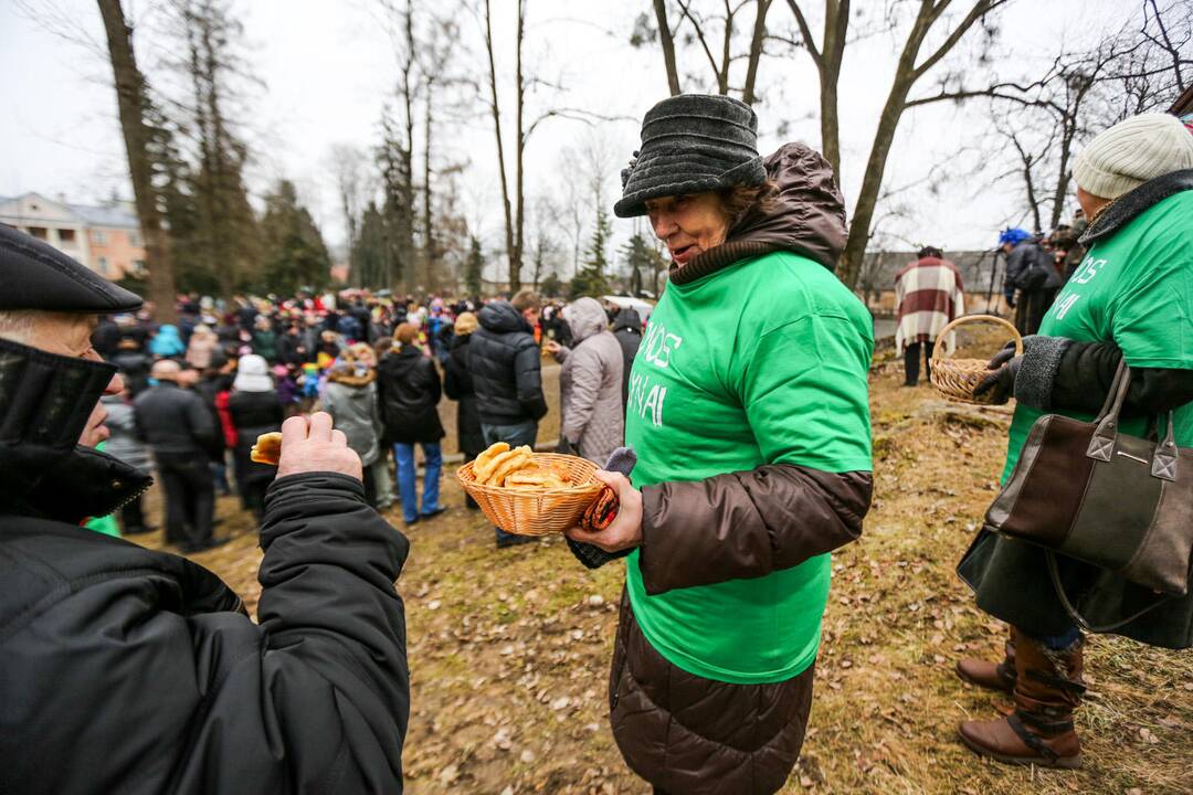 Užgavėnių šventė VDU Kauno botanikos sode